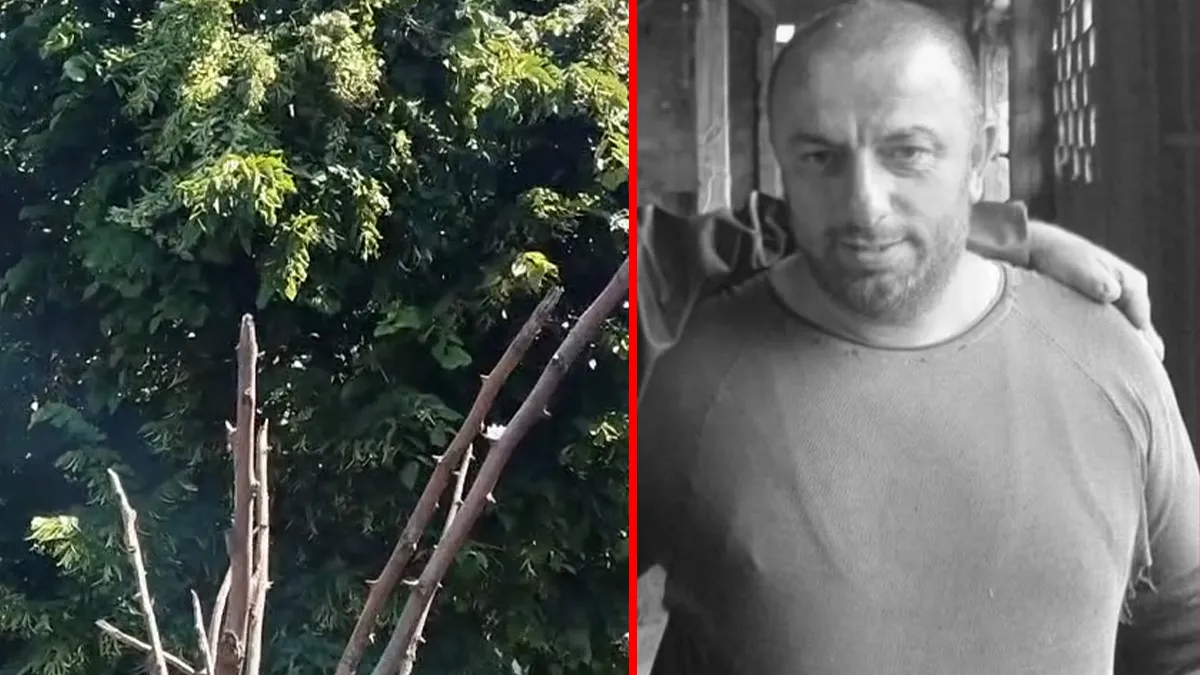 Rize’de acı olay! Budama için çıktığı ağaçta canından oldu: Elektrik akımına kapılan Hasan Çataklı hayatını kaybetti!