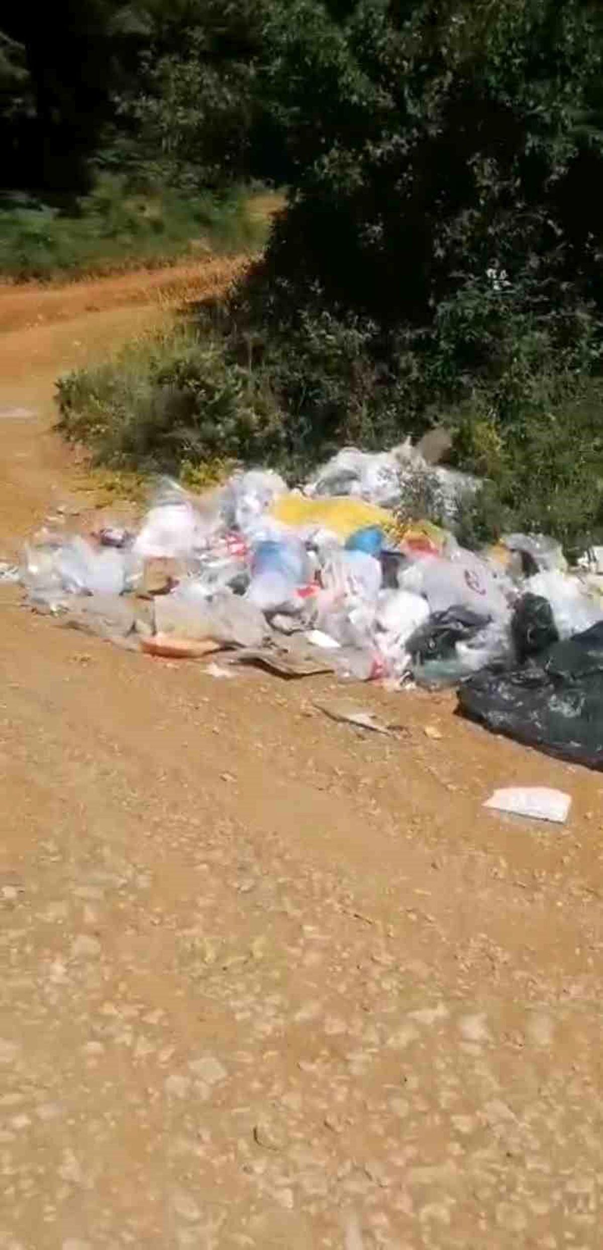 Balık tutmak için gittiği gölde çöp yığınıyla karşılaştı: Poşet poşet topladı
