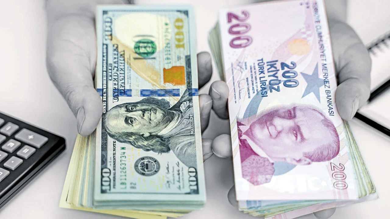 Dolar/TL tarihi rekoronu yeniledi