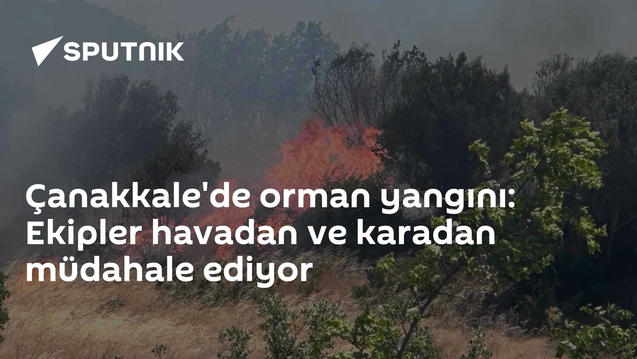 Çanakkale'de orman yangını: Ekipler havadan ve karadan müdahale ediyor