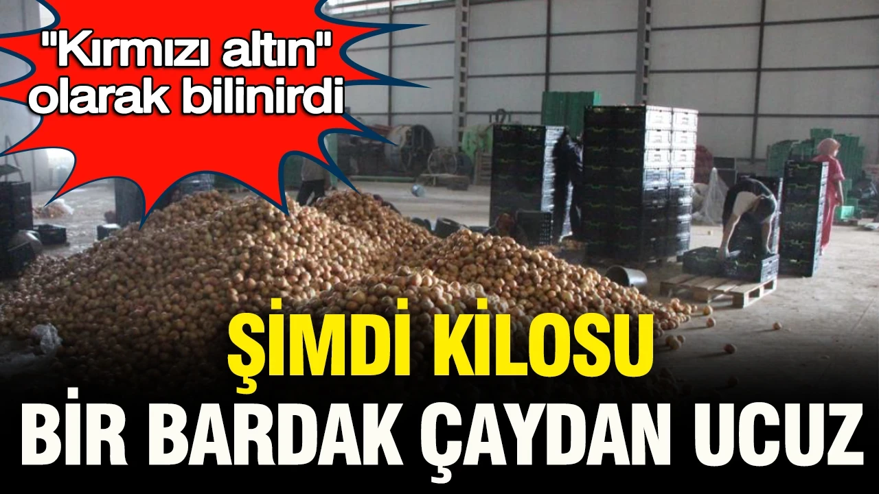 “Kırmızı altın” olarak bilinirdi: Şimdi kilosu bir bardak çaydan ucuz