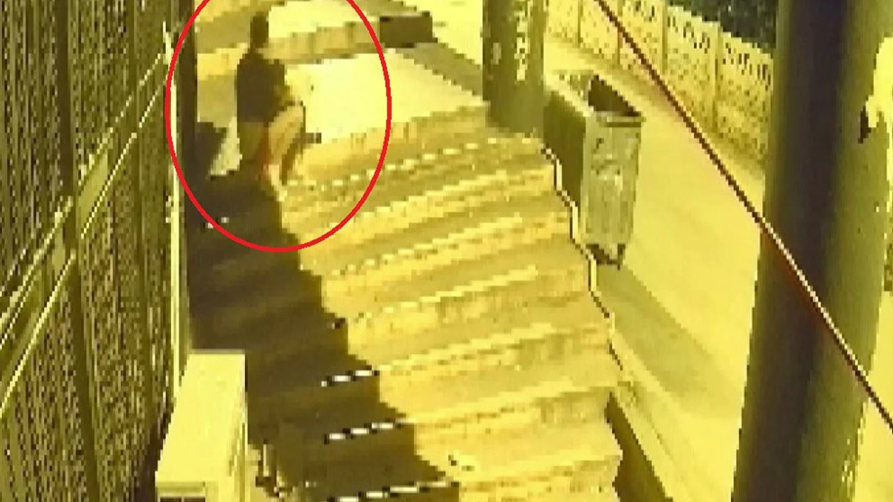 Düzenli olarak her gün geliyor! İzleyenleri şaşkına çeviren hırsızlık