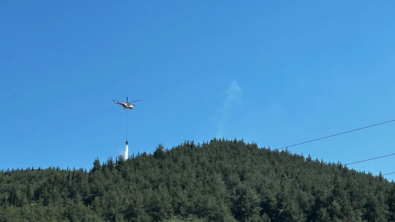 Manisa'da Orman Yangını