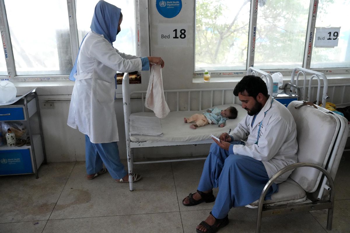 Dünya Gıda Programı: Afganistan'a 1.600 Tondan Fazla Gıda Malzemesi Ulaştı