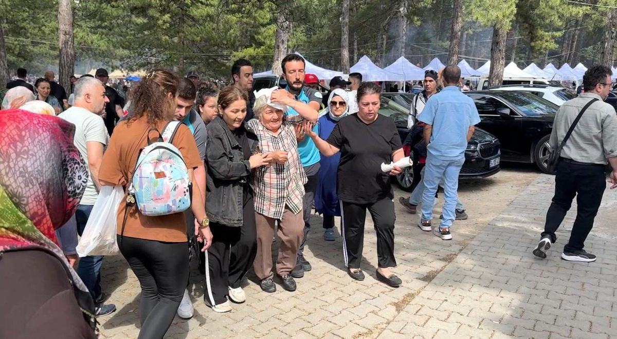 Şenlikte ağaçtan düşen dal yaşlı kadını yaraladı