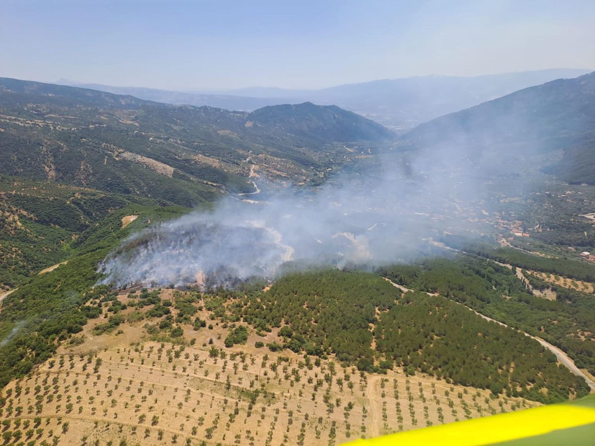 Aydın'da Orman Yangını 2 Saatte Kontrol Altına Alındı
