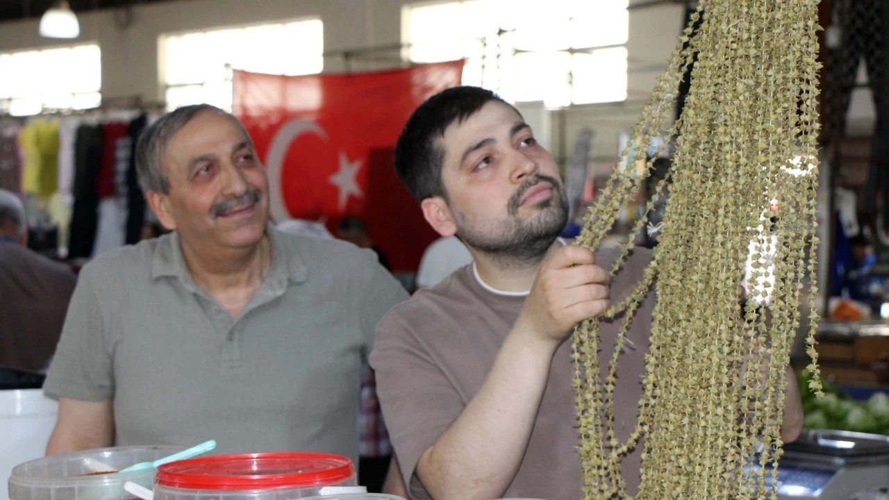 Amasya’nın ‘Sarı Altın’ına Uganda gölgesi! 'Biz kefiliz' dediler, kamu denetçisine başvurdular