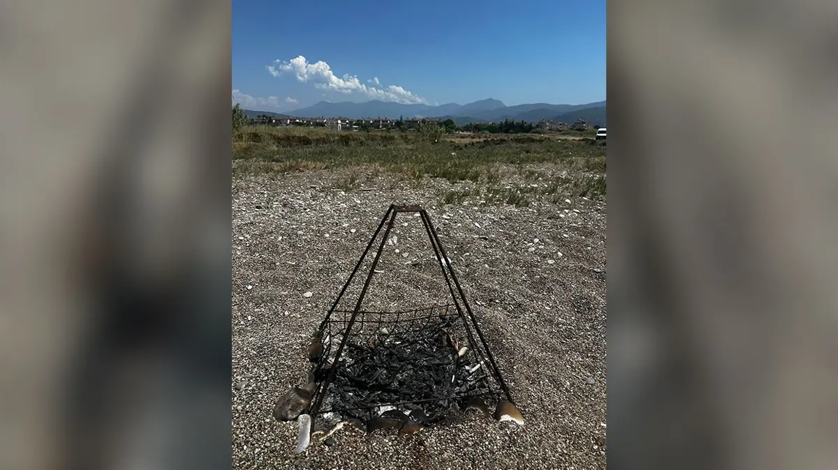 Antalya'da skandal olay! Koruma altındaki yuvaları mangal alanına çevirdiler