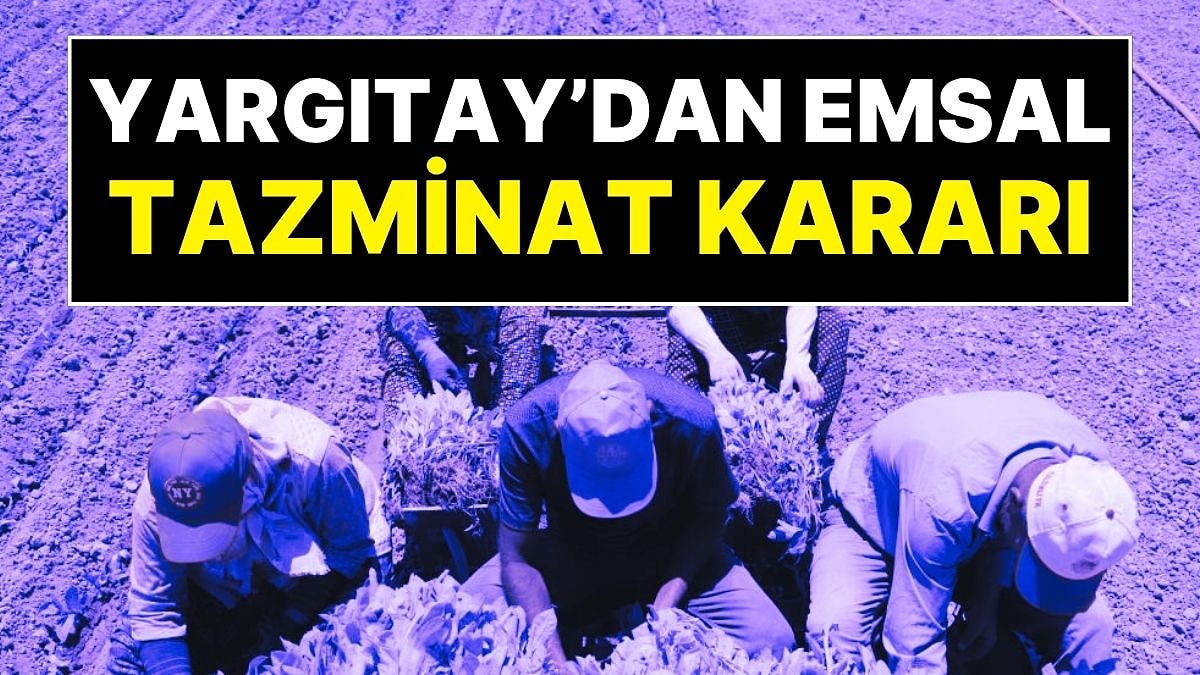 Yargıtay’dan Emsal Karar: Artık Ev Hizmetleri Çalışanları ve Tarım İşçileri de Tazminat Alacak