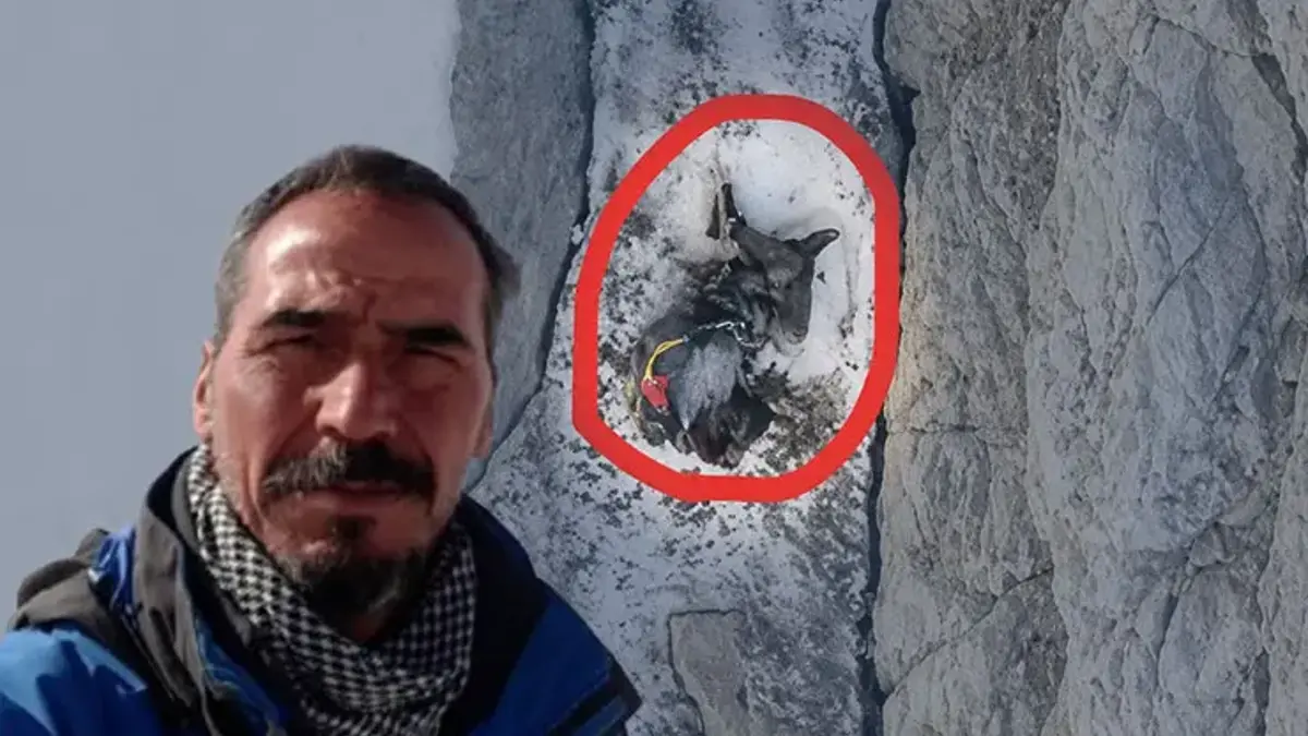 Türk dağcının ölüm yolculuğu! 200 metre sürüklendi, ipte asılı kaldı