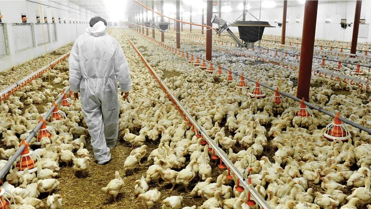 Beyaz et soruşturmasında kayyım kararına mahkemeden fren