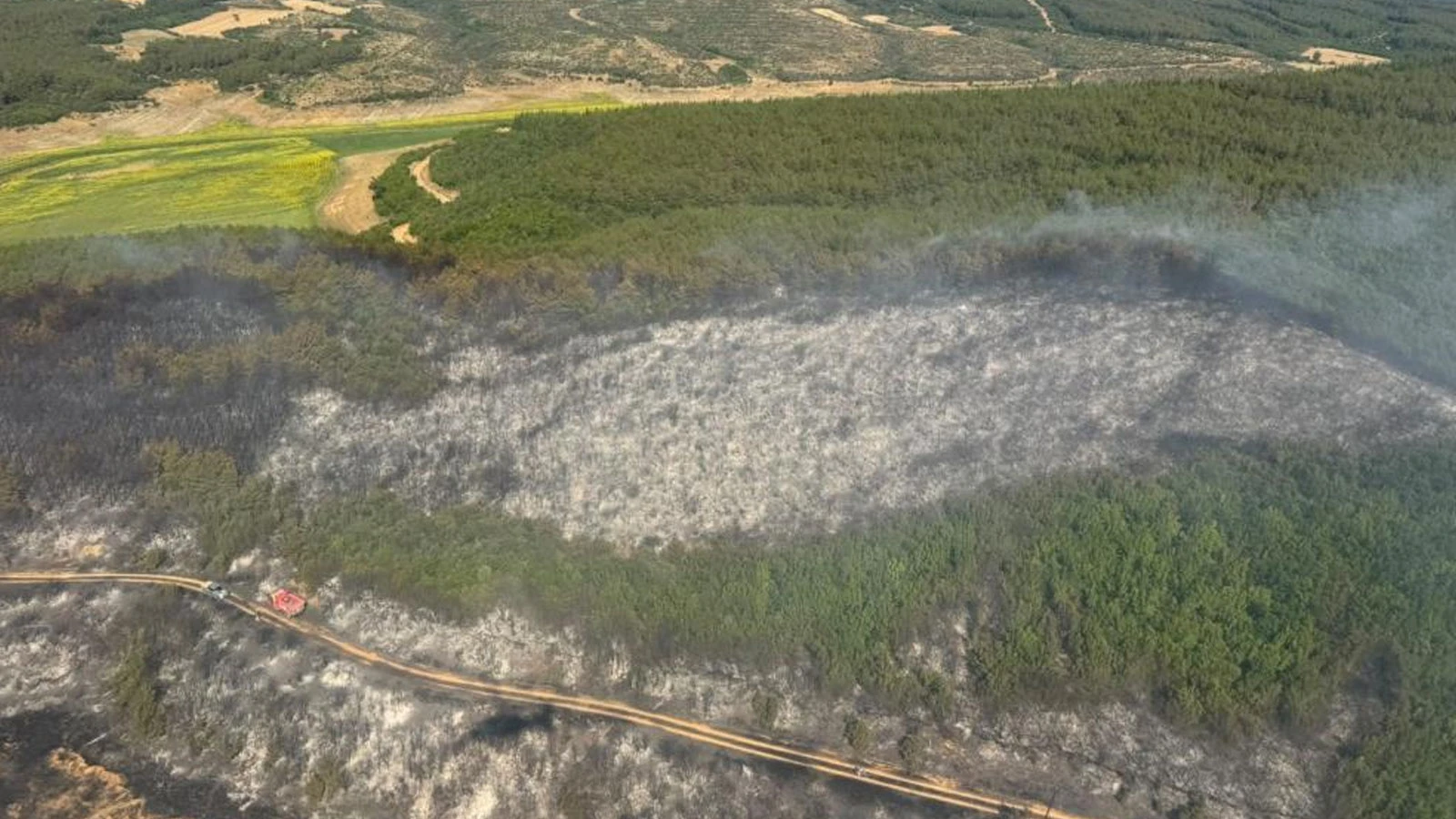 Tekirdağ'da orman yangını