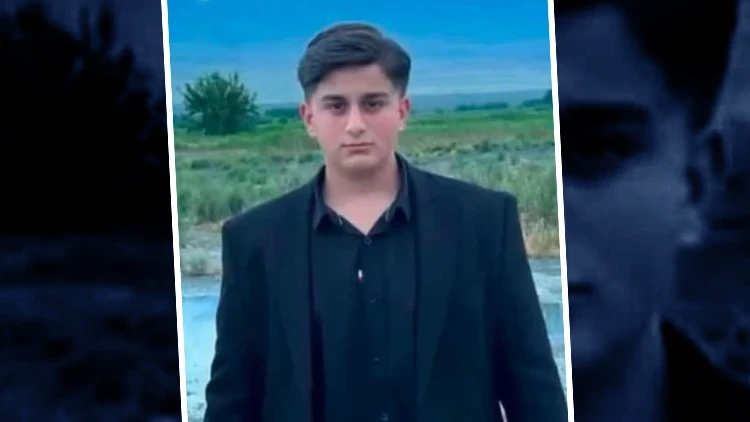 İneğin saldırdığı çocuk hayatını kaybetti