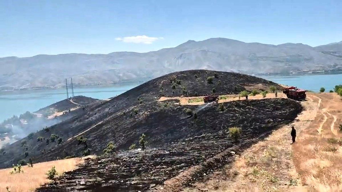 Elazığ'da çıkan arazi yangını söndürüldü