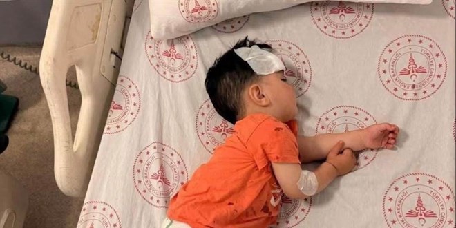Şanlıurfa'daki köpek saldırısı olayına Mülkiye Müfettişi görevlendirildi