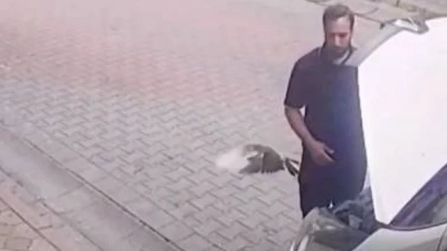 Sultangazi'de kaputun altından kuş direksiyonun içinden kertenkele çıktı