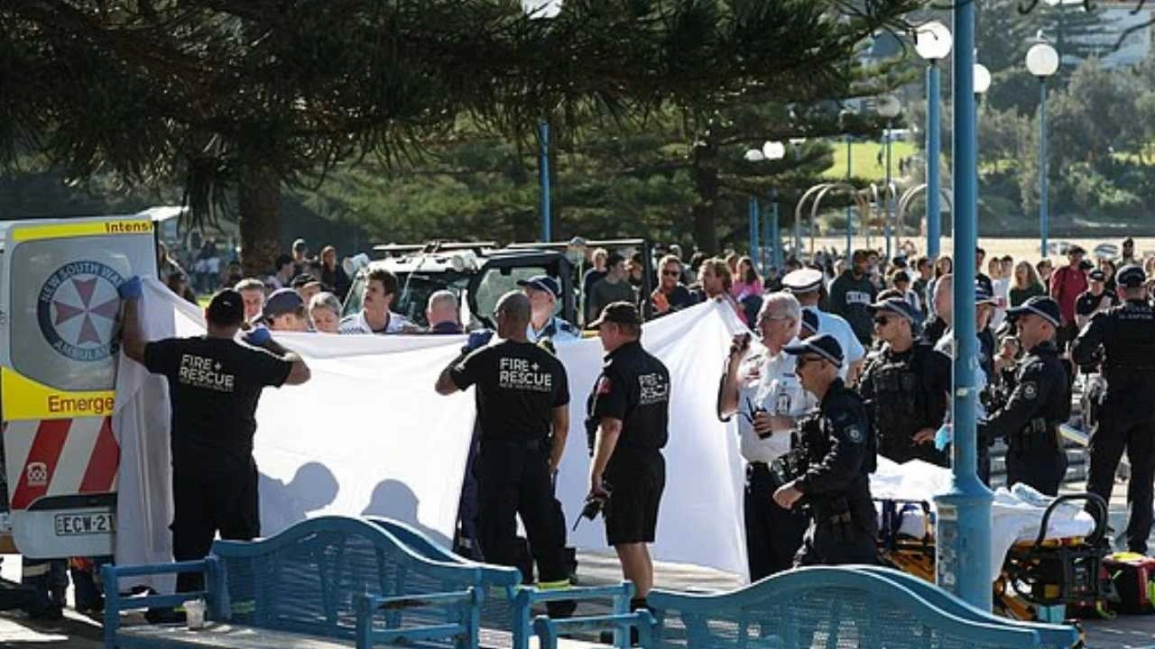 Sidney'deki köpekbalığı saldırısı tartışma yarattı: Bakanlık "av" dahil tüm seçenekleri masada