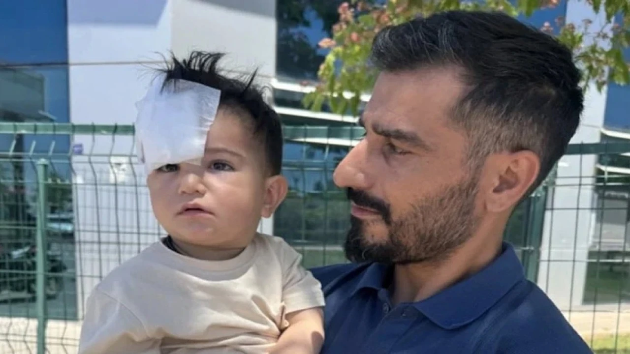 Şanlıurfa'daki köpek saldırısında yeni gelişme: Mülkiye Müfettişi görevlendirildi