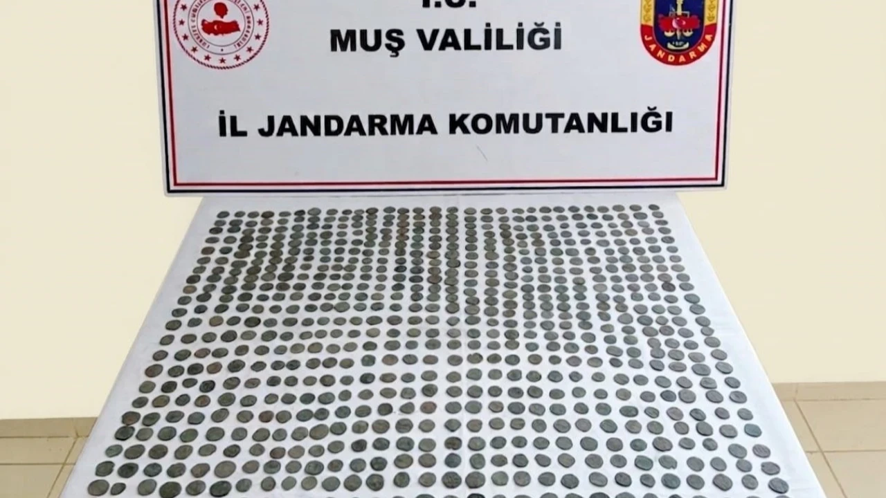 Muş'ta 749 adet tarihi sikke ele geçirildi