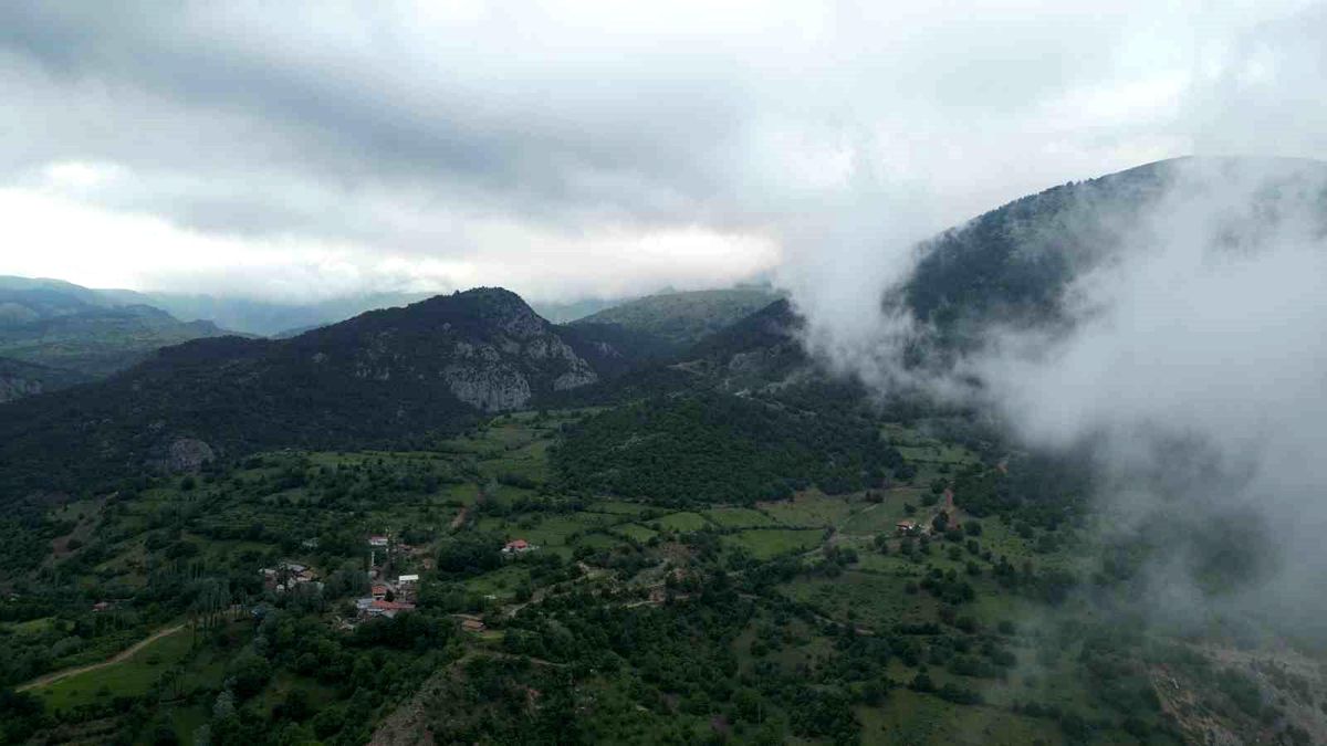 Amasya'da ormanlık alanlara girişler yasaklandı