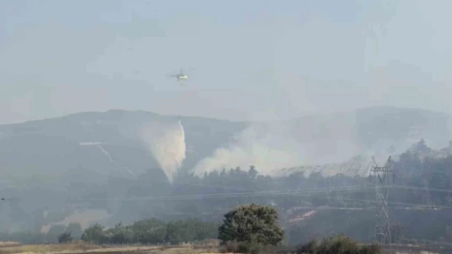 Balıkesir'de orman yangınına havadan ve karadan müdahale
