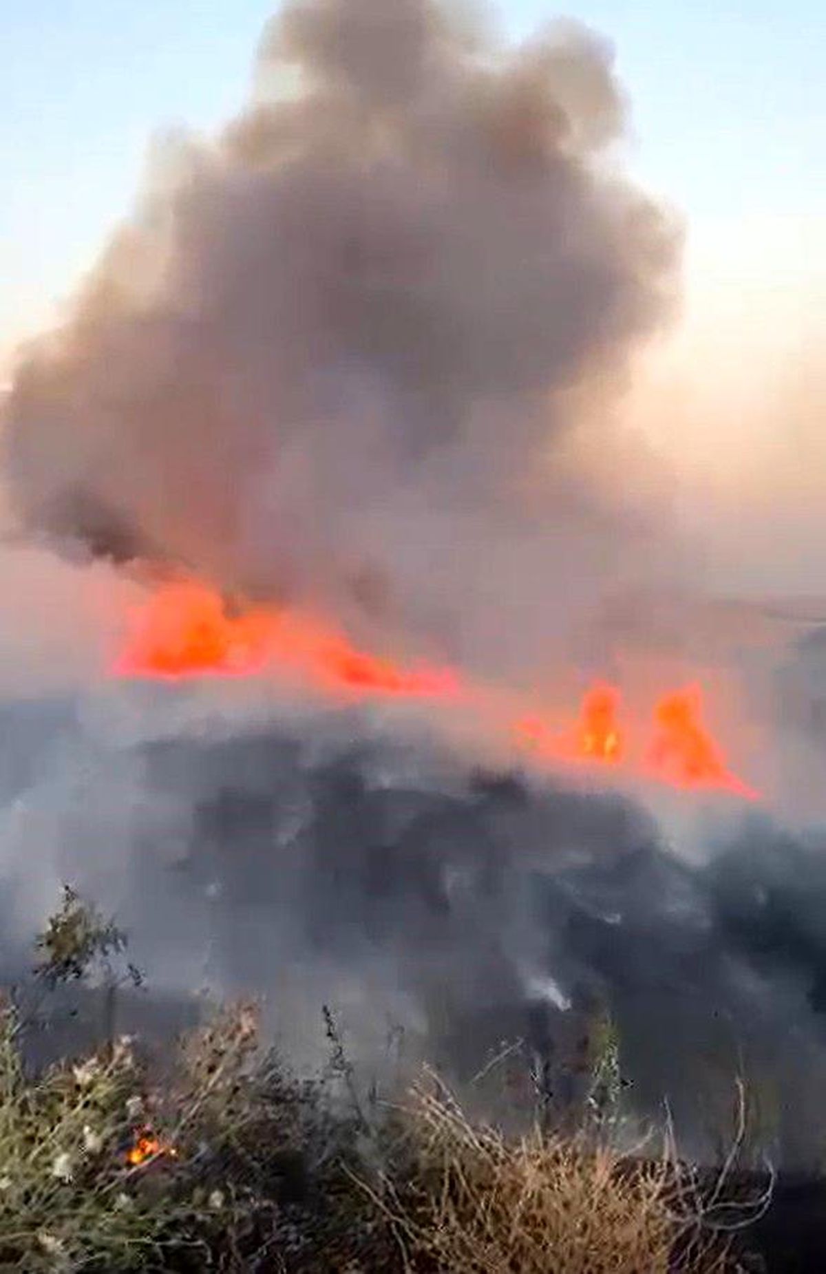 Oğuzeli'nde buğday tarlasında yangın