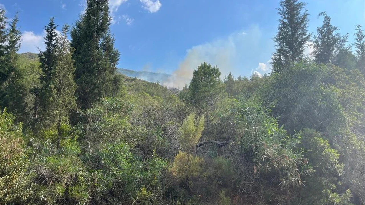 Marmaris'te yıldırım nedeniyle çıkan orman yangınına havadan ve karadan müdahale