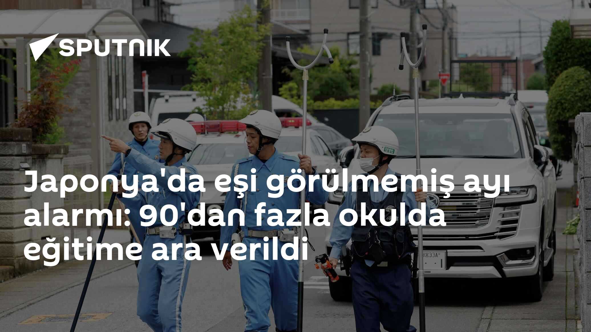 Japonya'da eşi görülmemiş ayı alarmı: 90'dan fazla okulda eğitime ara verildi