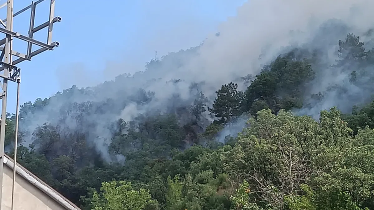 Kastamonu'da orman yangını: Ekiplerin müdahalesi sürüyor