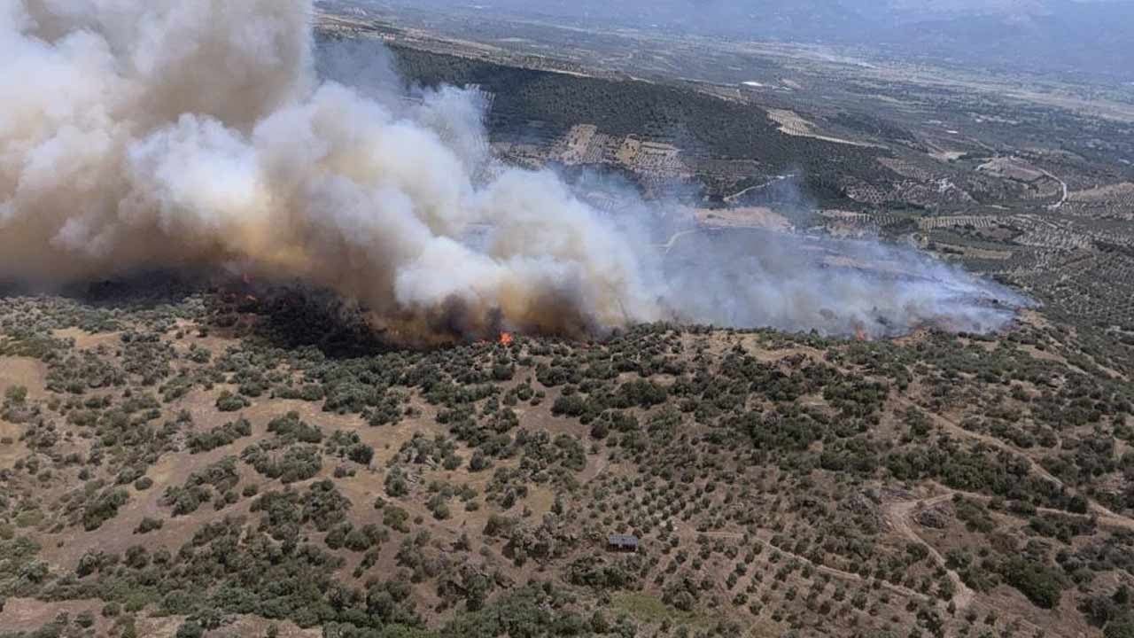 Bozdoğan'da korkutan yangın