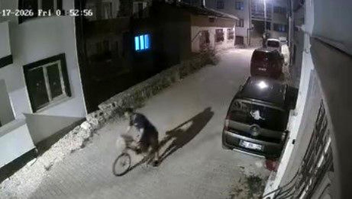 Apartmana girip elini kolunu sallayarak ayakkabı ve bisiklet çaldı