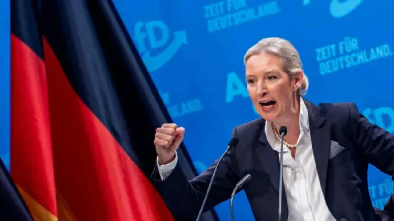 Almanya’da aşırı sağcı AfD'nin seçmen potansiyeli rekor seviyeye ulaştı