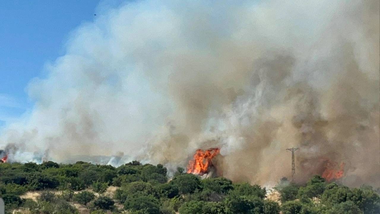 Son dakika | Çanakkale'de orman yangını