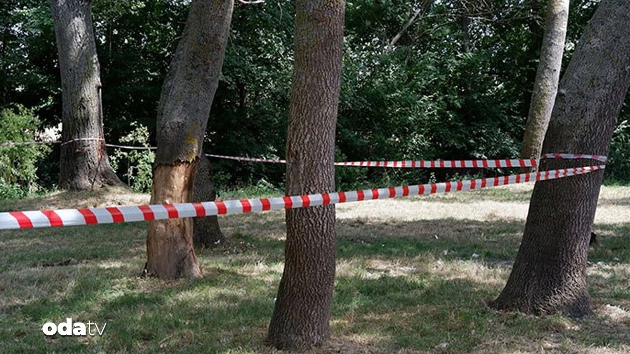 Edirne'de ormanlık alanlara girişlere yasak getirildi