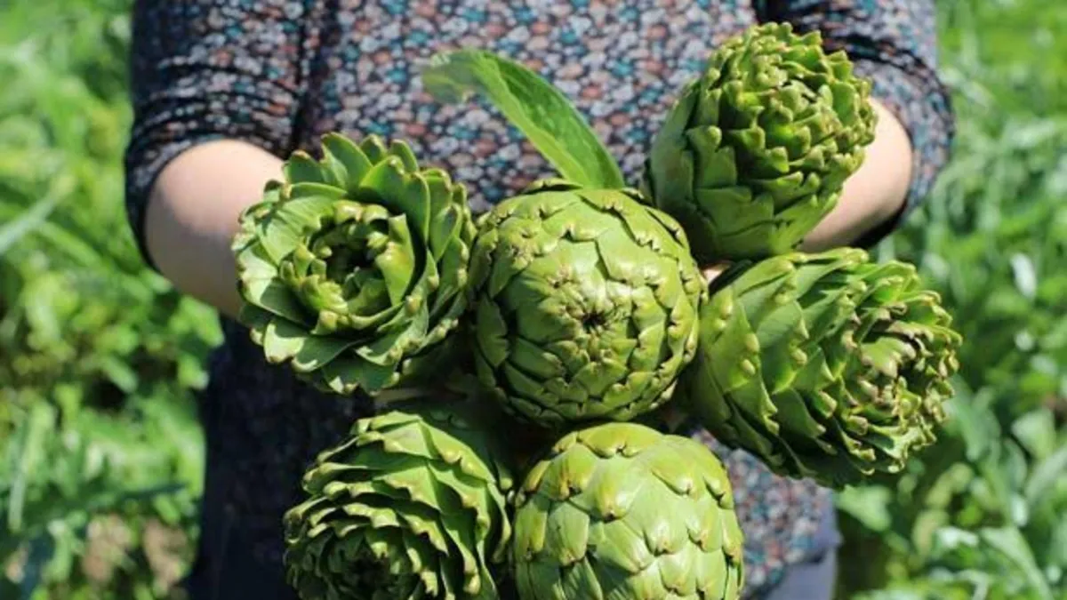 İzmir’in yöresel lezzetleri dünyaya nam salıyor! İşte kente özgü en meşhur ürünler...