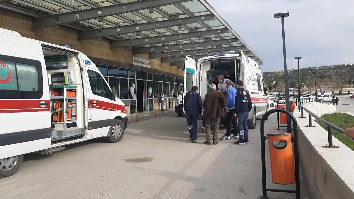 Tokat'ta kene vakası: 10 kişi hastaneye kaldırıldı