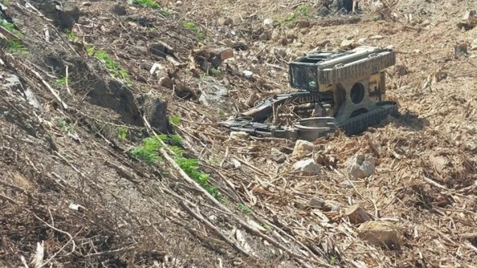 Antalya Gazipaşa'da ormanlık alanda devrilen iş makinesinin altında kalan operatör hayatını kaybetti | YEREL HABERLER