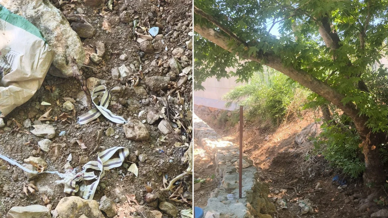 Jandarma dalda asılı buldu, ipi kesip hayatını kurtardı