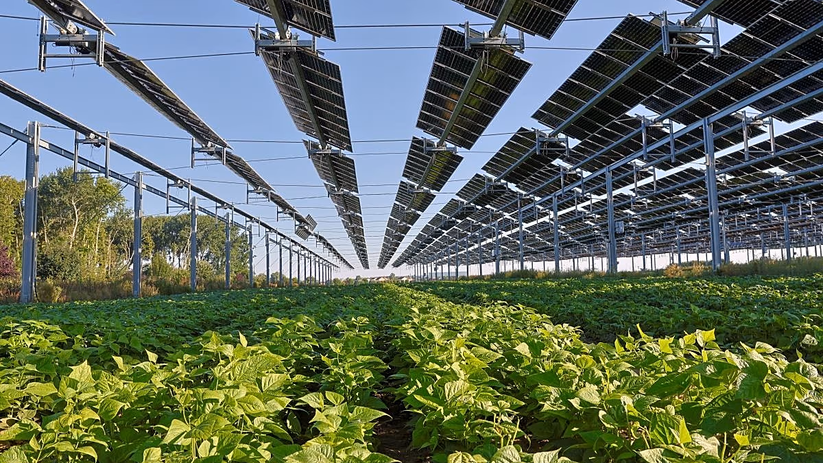 Haziranda güneş, hızlı kurulumla AB enerjisinin %25'ini sağladı