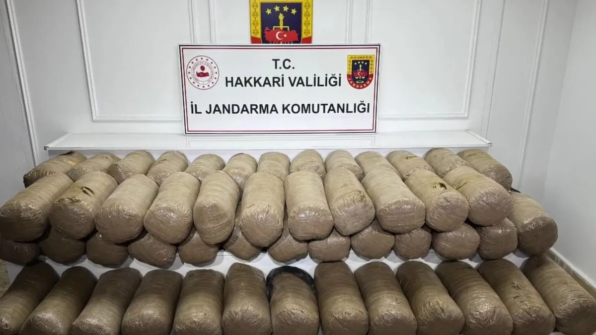 Hakkari'de 503 kilogram esrar ele geçirildi, 1 şüpheli yakalandı
