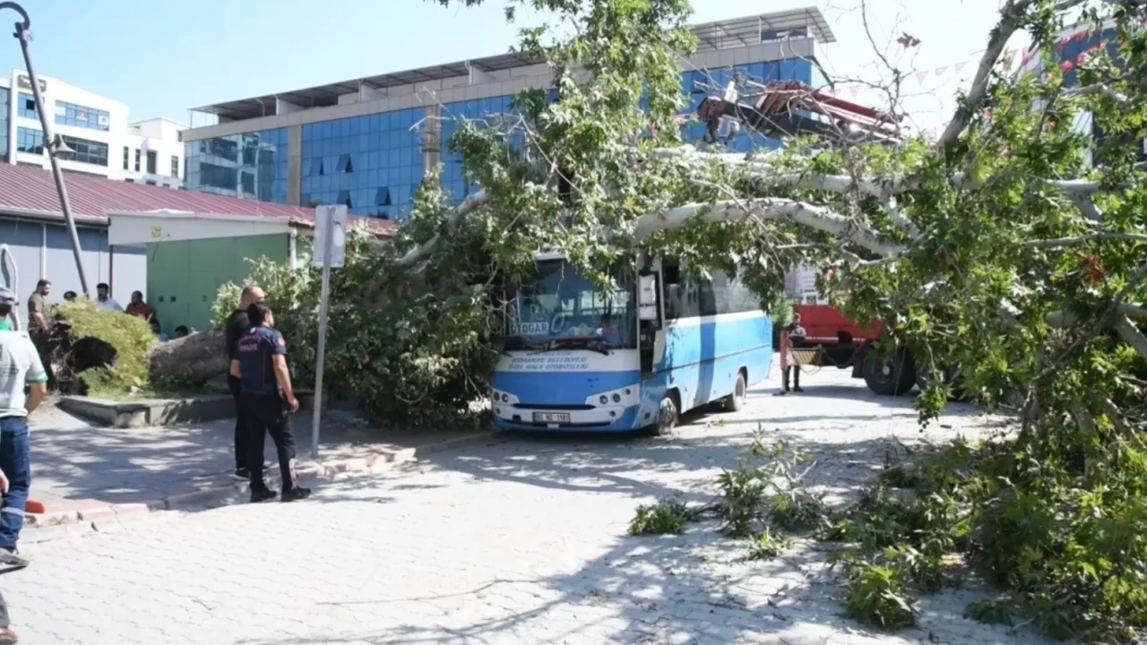 Osmaniye'de halk otobüsünün üzerine ağaç devrildi!
