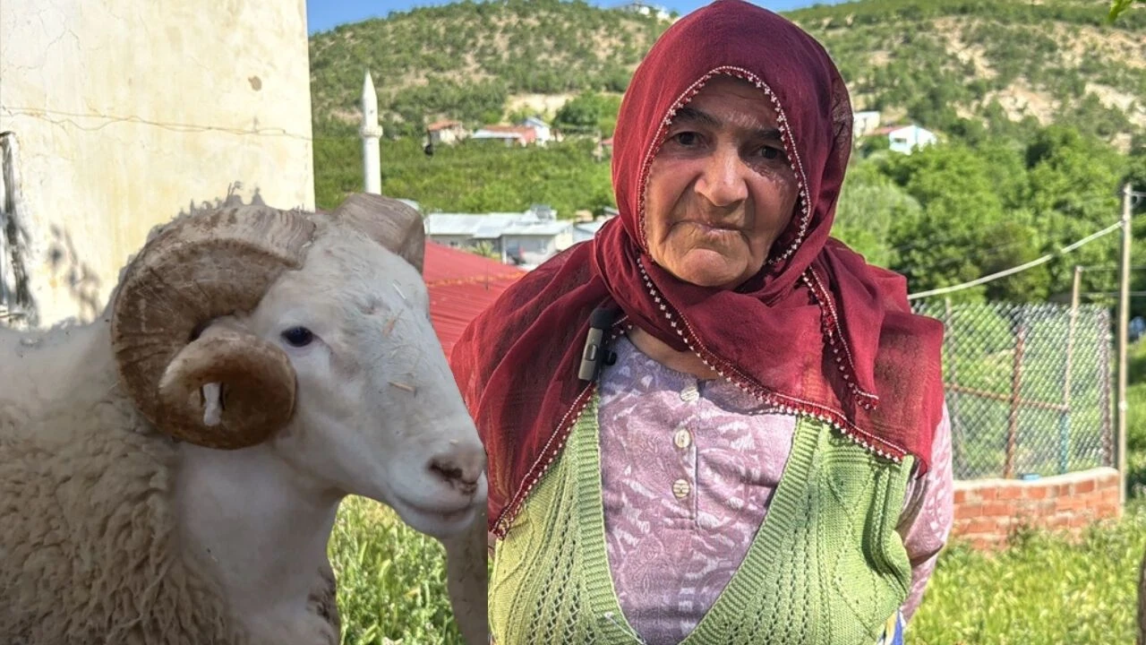 Bir görünüyor, bir kayboluyor! Elazığ’da 15 günlük kayıp