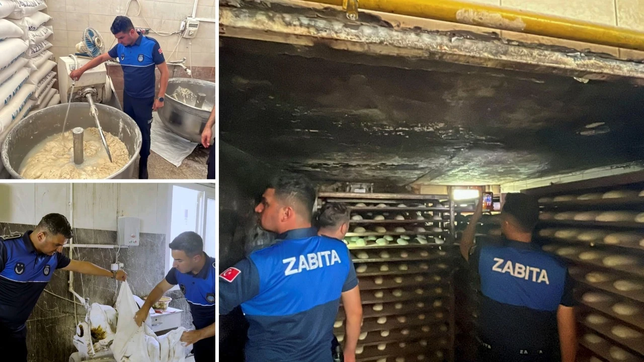 Fırında mide bulandıran manzara! 17 ayrı ihlalden 17 ayrı ceza kesildi