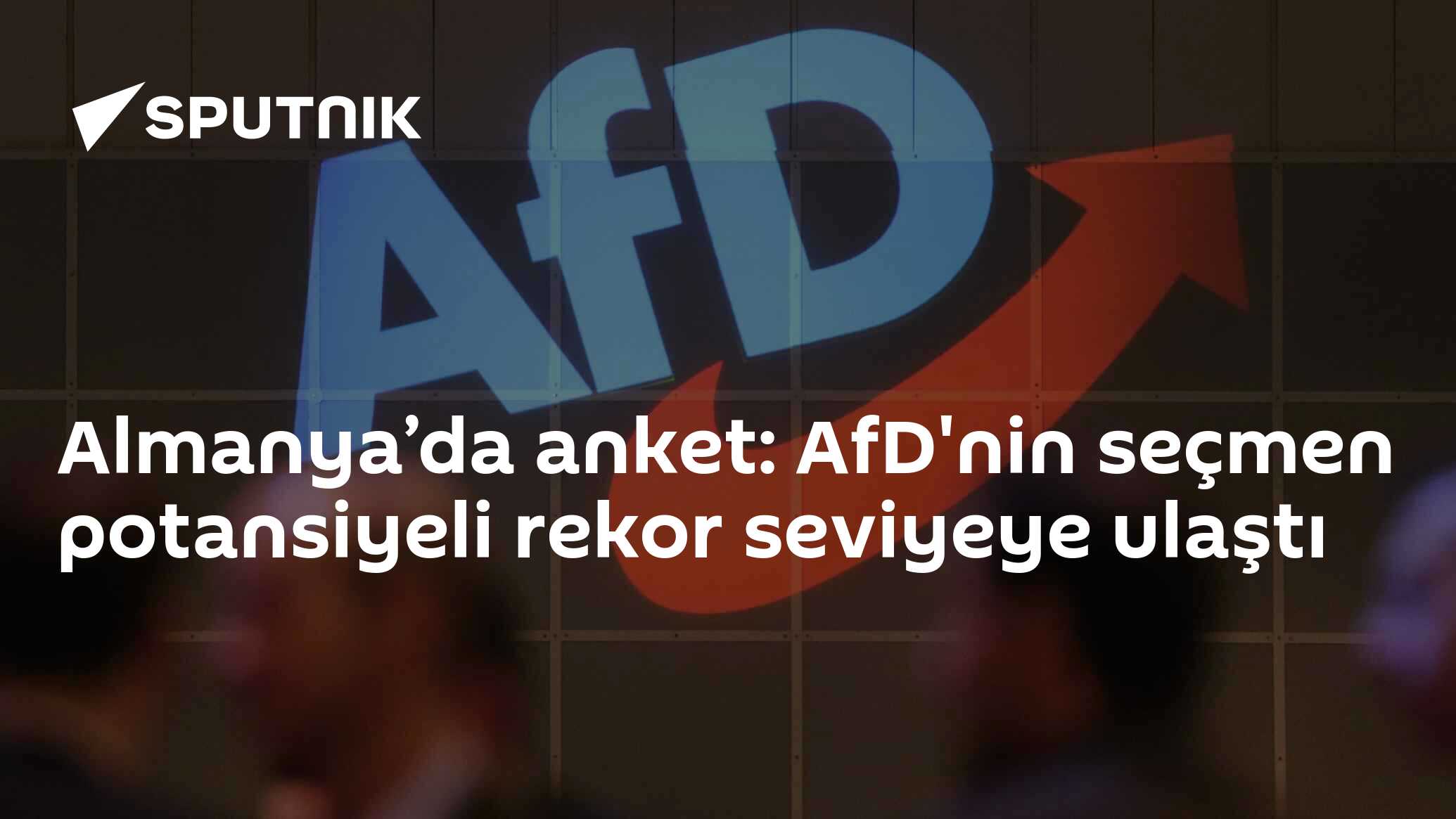 Almanya’da anket: AfD'nin seçmen potansiyeli rekor seviyeye ulaştı