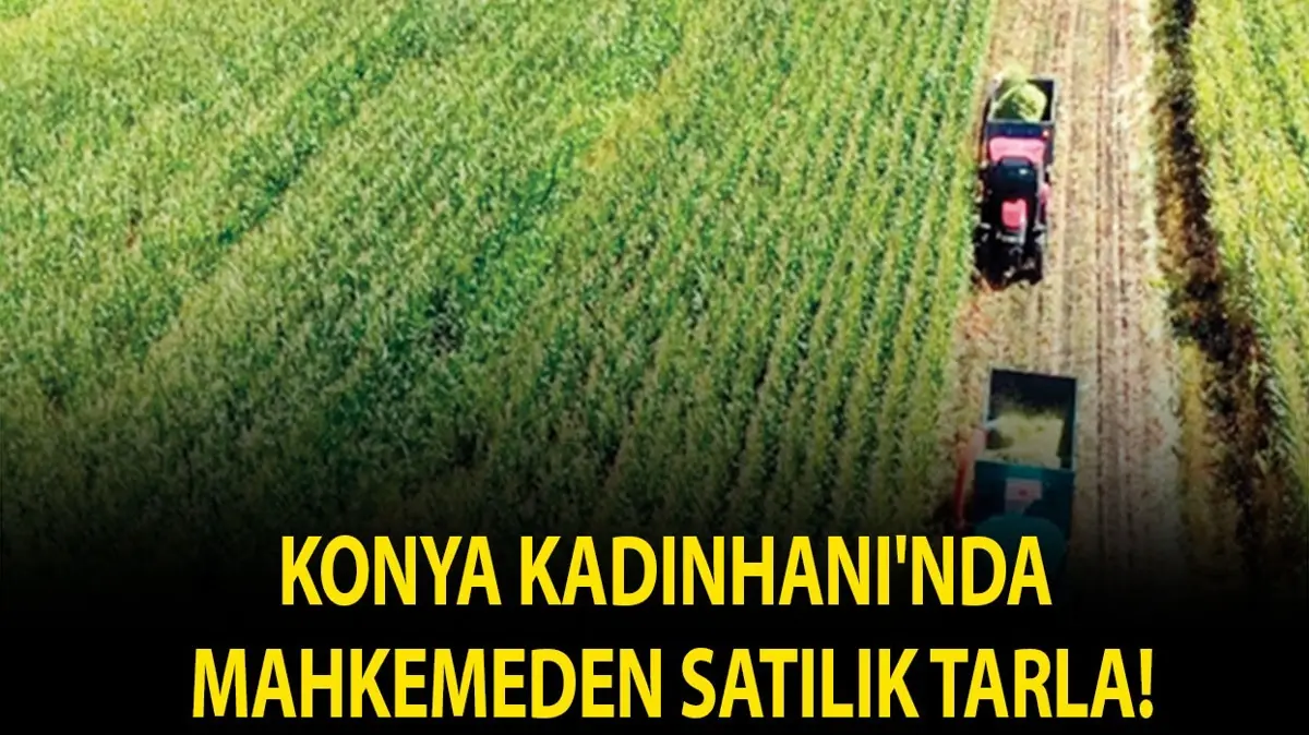 Konya Kadınhanı'nda mahkemeden satılık tarla!