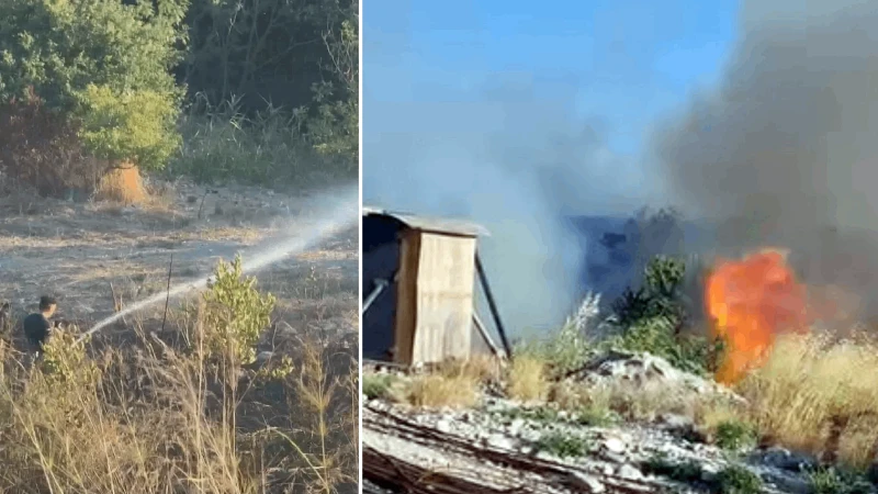 Avcılar'da otluk alanda çıkan yangın söndürüldü