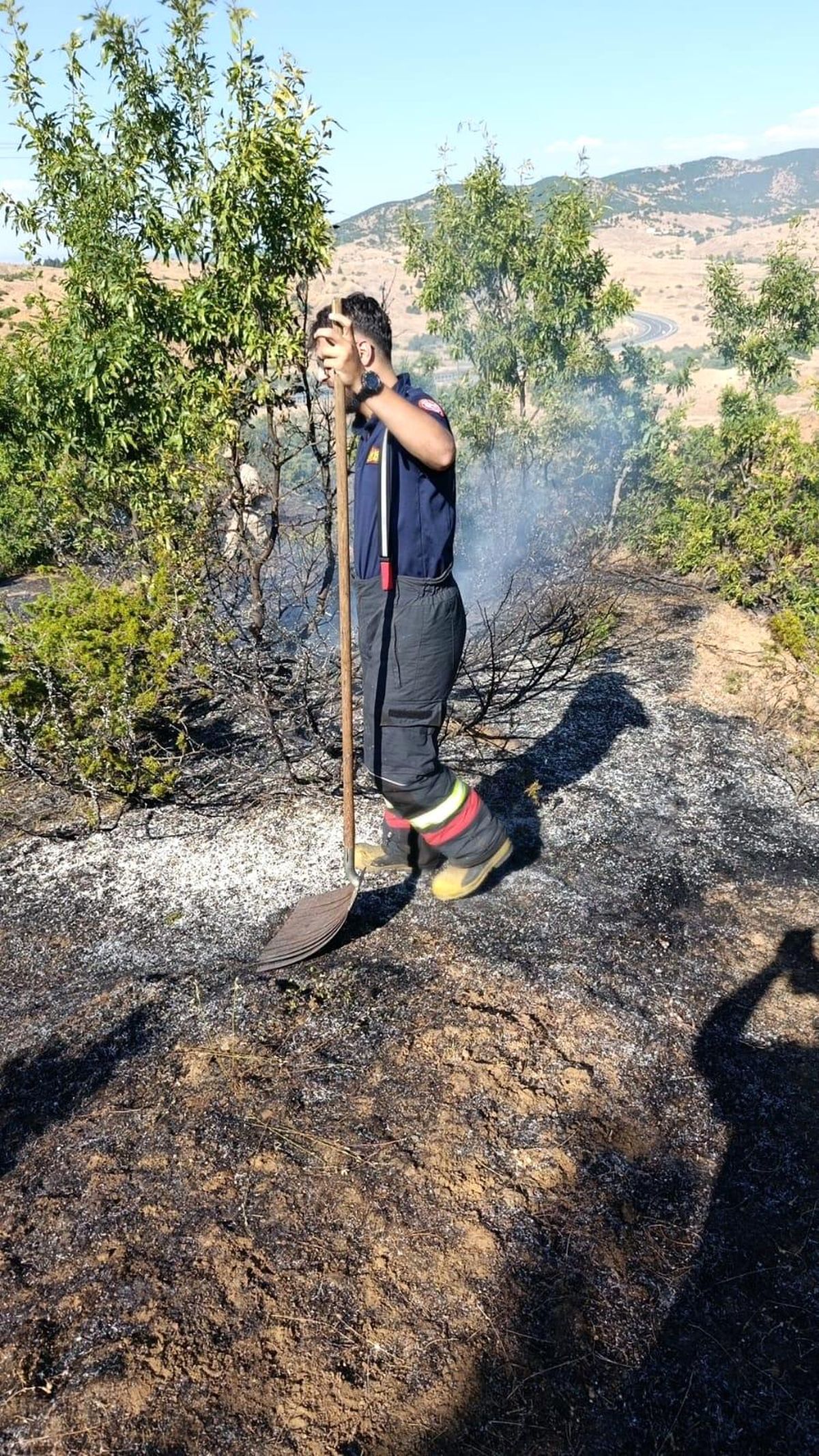 Bingöl'de yol kenarında çıkan yangın söndürüldü