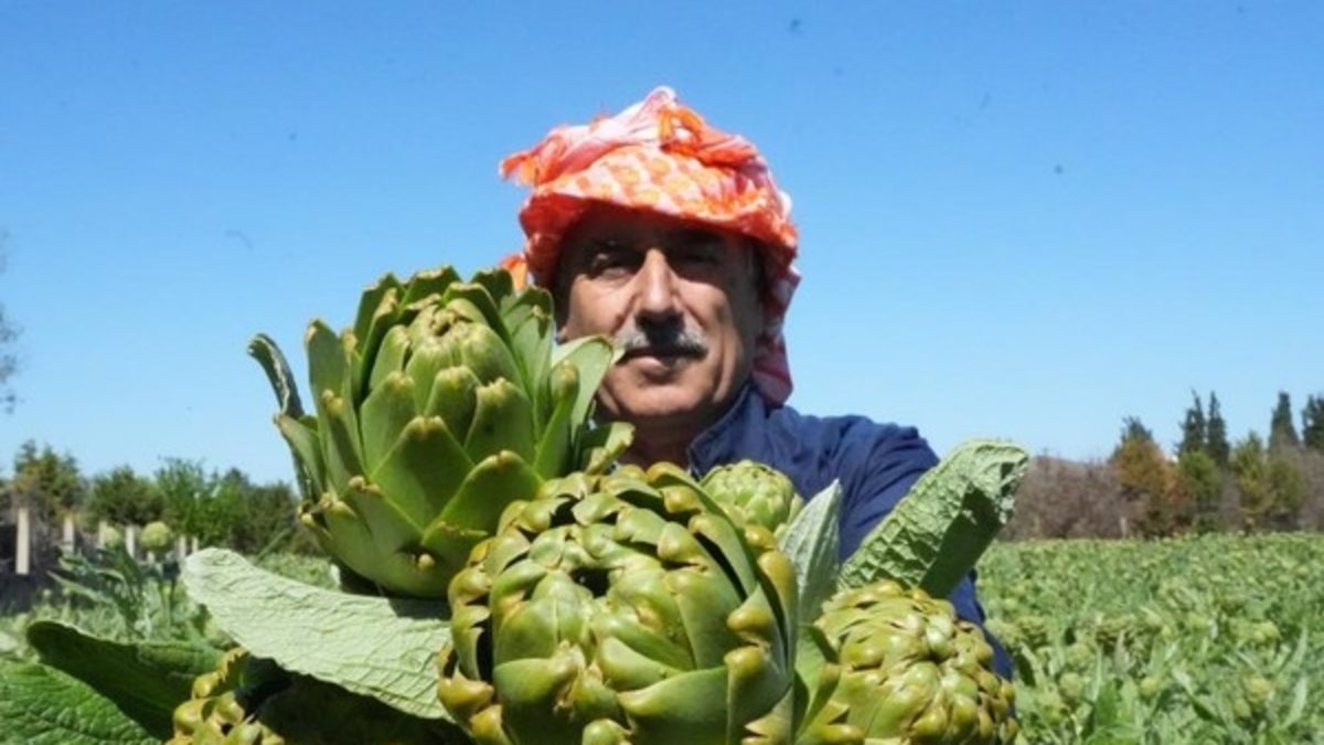 İzmir’den şifa akıyor! Dünya hayran: Faydasını duyan buralara koşuyor