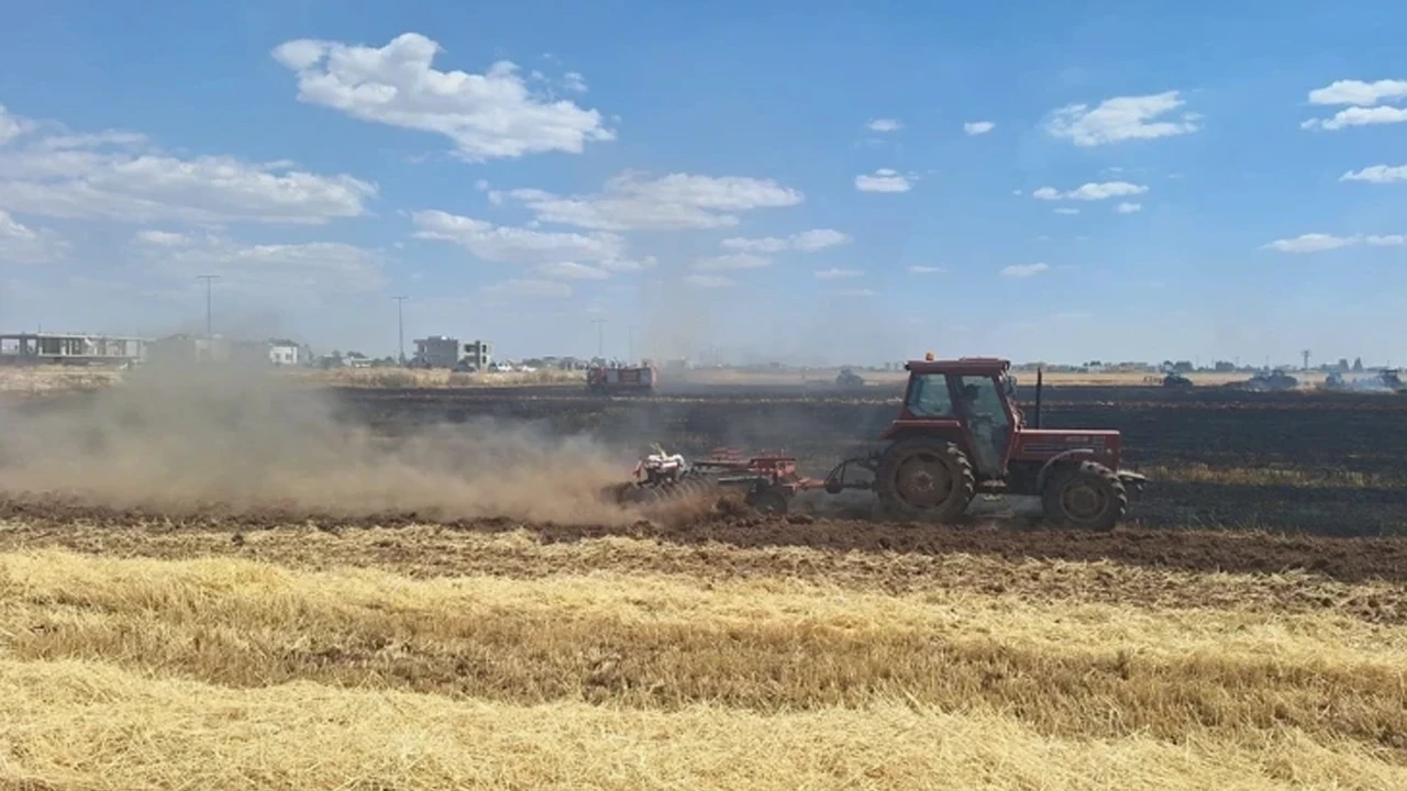 Mardin’de buğday tarlasında yangın