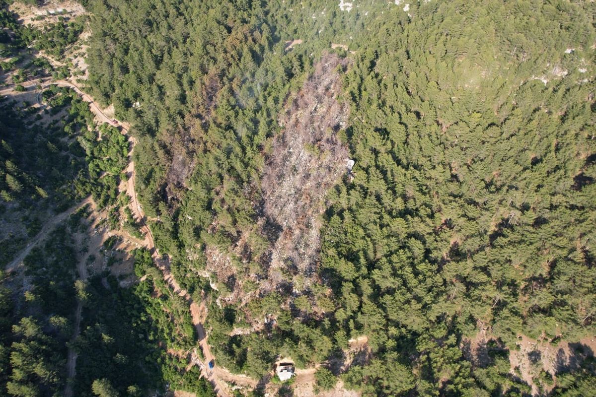 Kaş ilçesinde ormanlık alanda çıkan yangın kontrol altına alındı